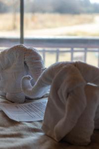 tshikwalo game lodge