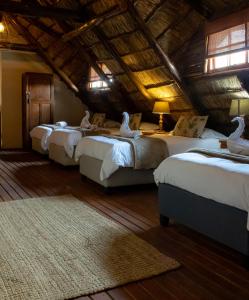 tshikwalo game lodge