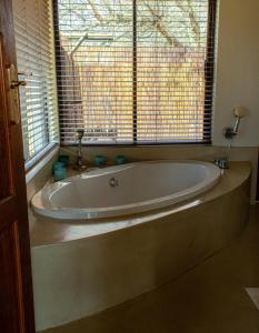 tshikwalo game lodge