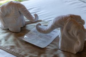 tshikwalo game lodge