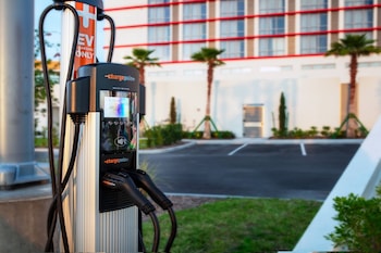 the daytona autograph collection