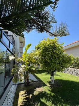 dalyan risus suite
