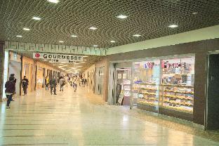 kawasaki station inn