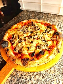 Hotel Tiger Pgh,,2 star