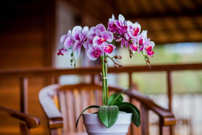 samanta huts lembongan