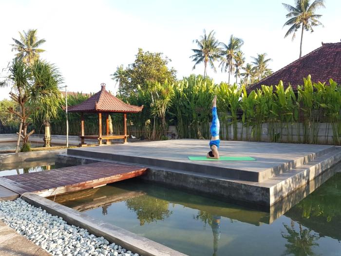 buana ecofarm hostel