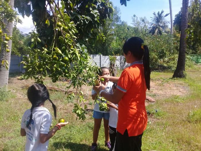 buana ecofarm hostel