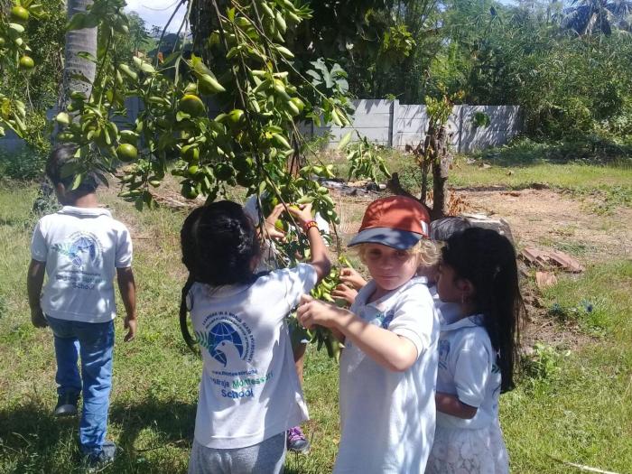 buana ecofarm hostel