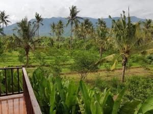 buana ecofarm hostel