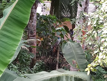 villa river paradise