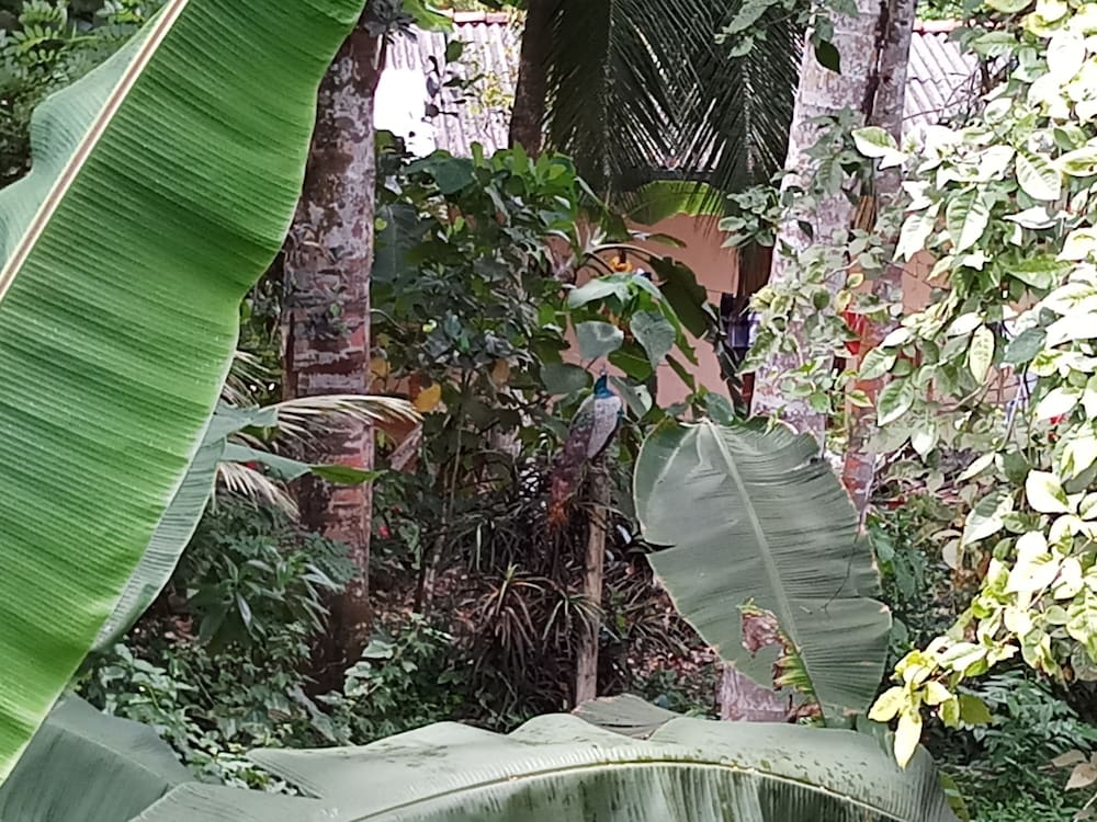 villa river paradise