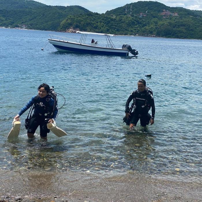 saltitude dive and beach resort