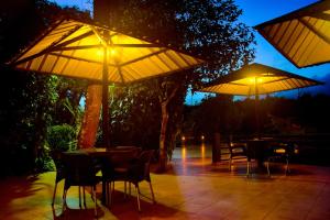 Rainforest Lodge,Kotapola>>Deniyaya,3 star