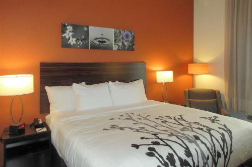 sleep inn and suites oregon madison