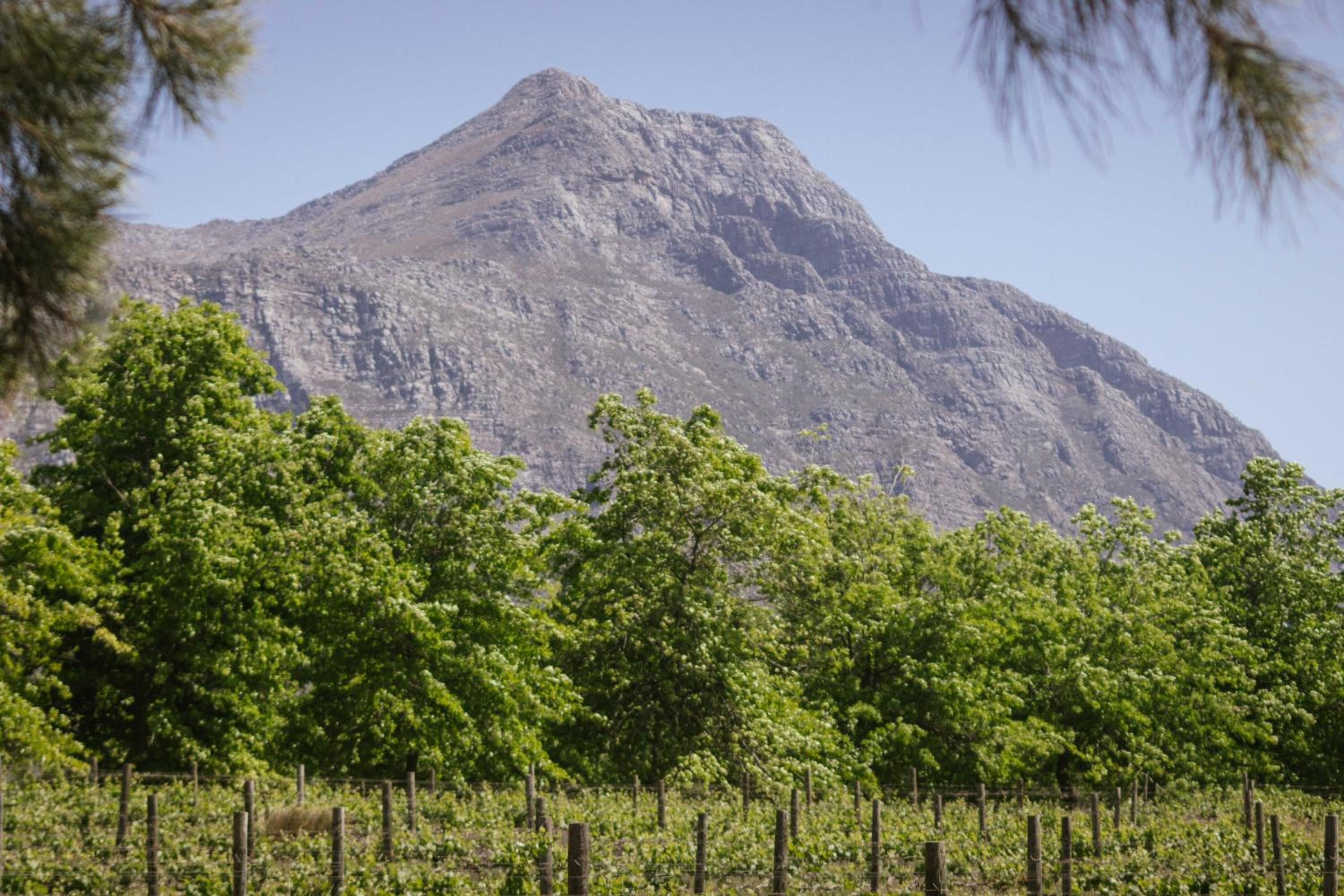 duikersdrift winelands country escape