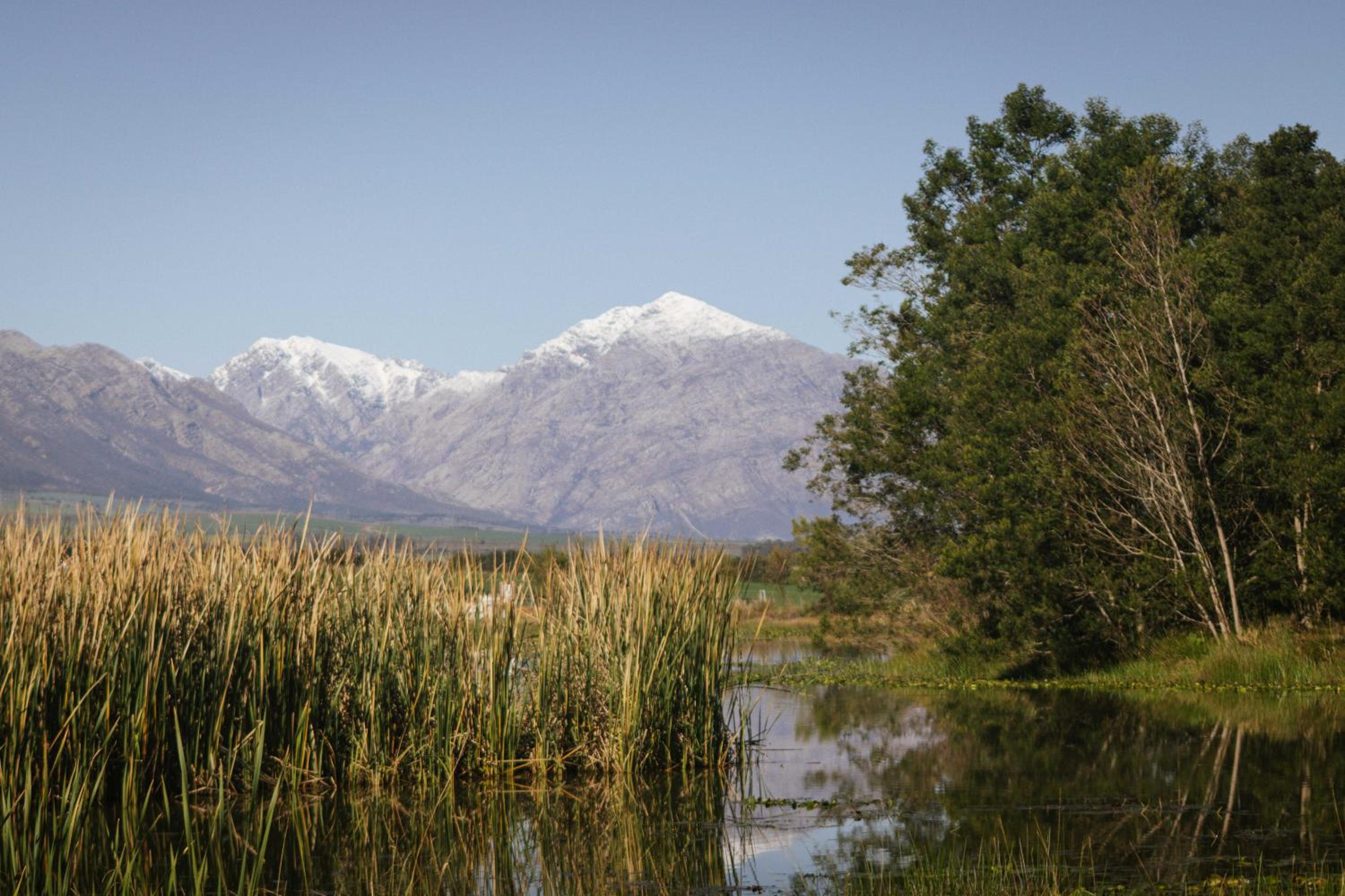 duikersdrift winelands country escape