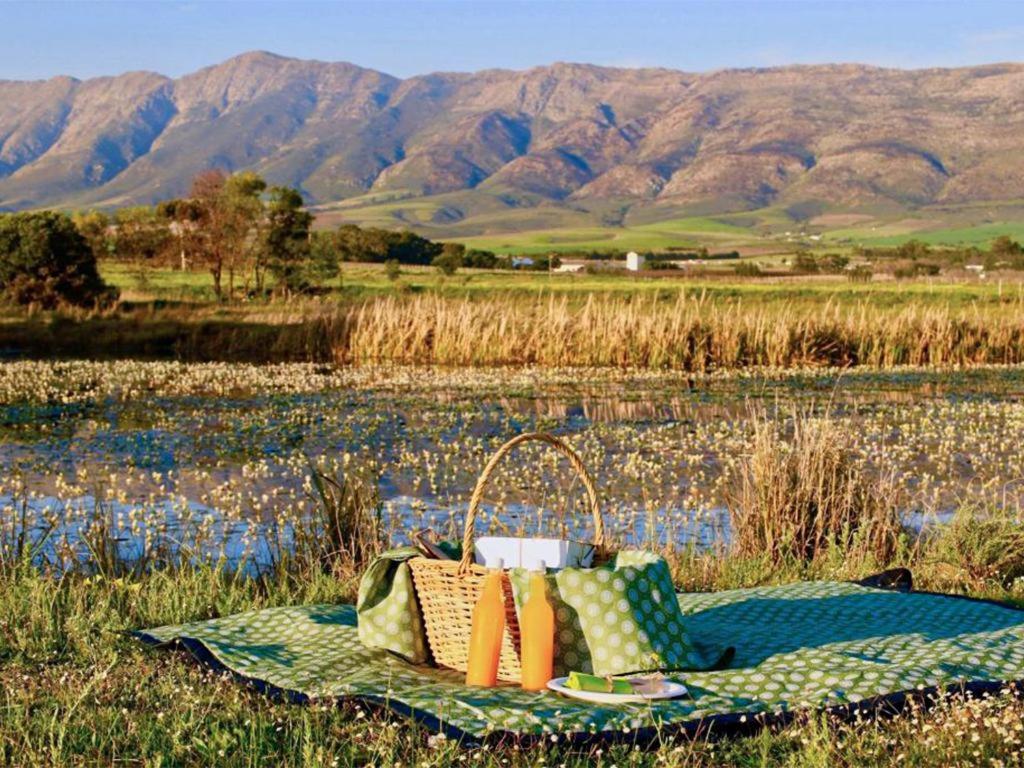 duikersdrift winelands country escape