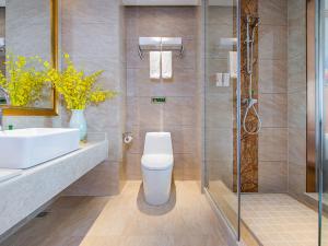 vienna international hotel hunan chenzhou qingnian avenue