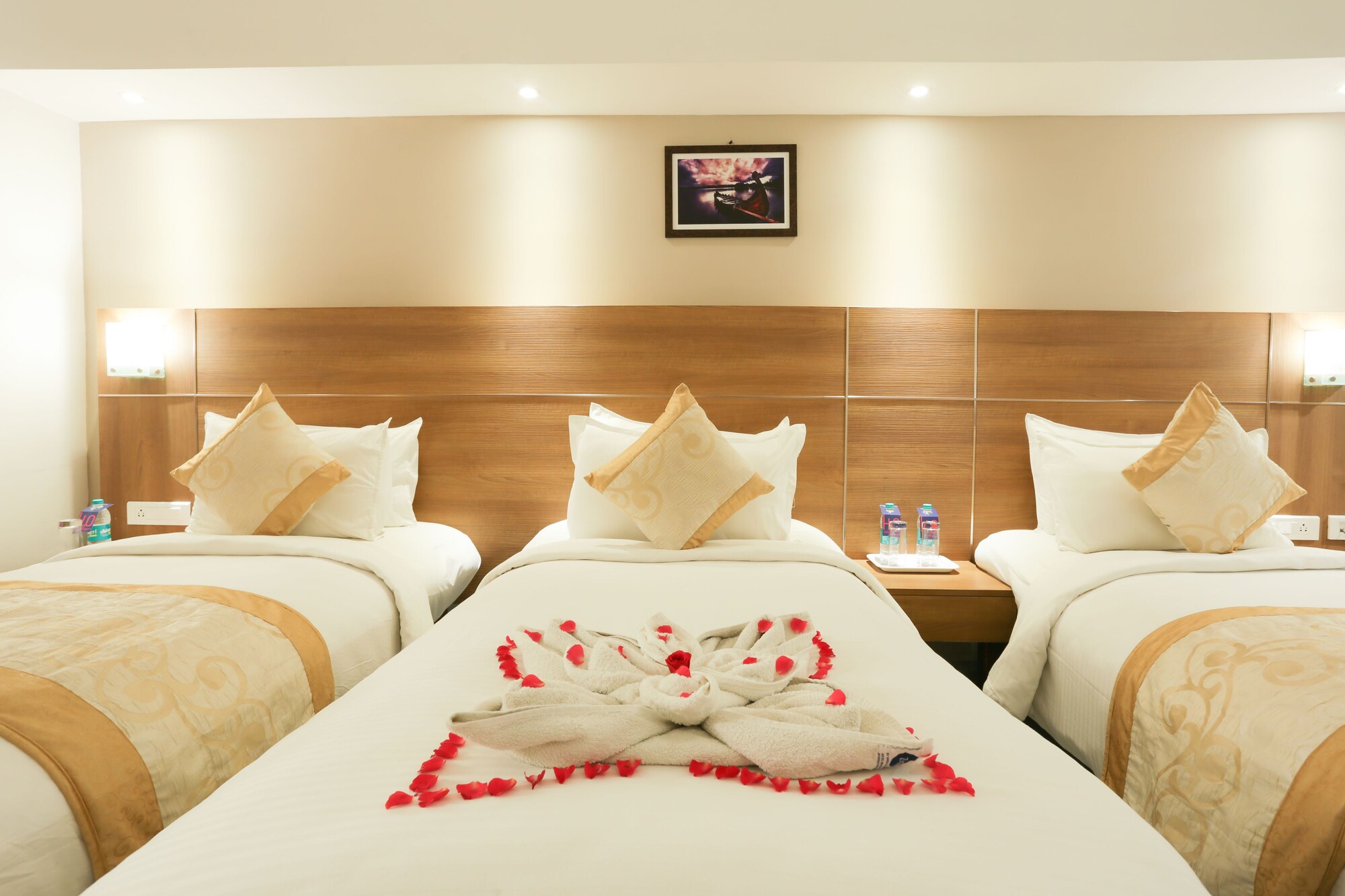 zip by spree hotels mangala international