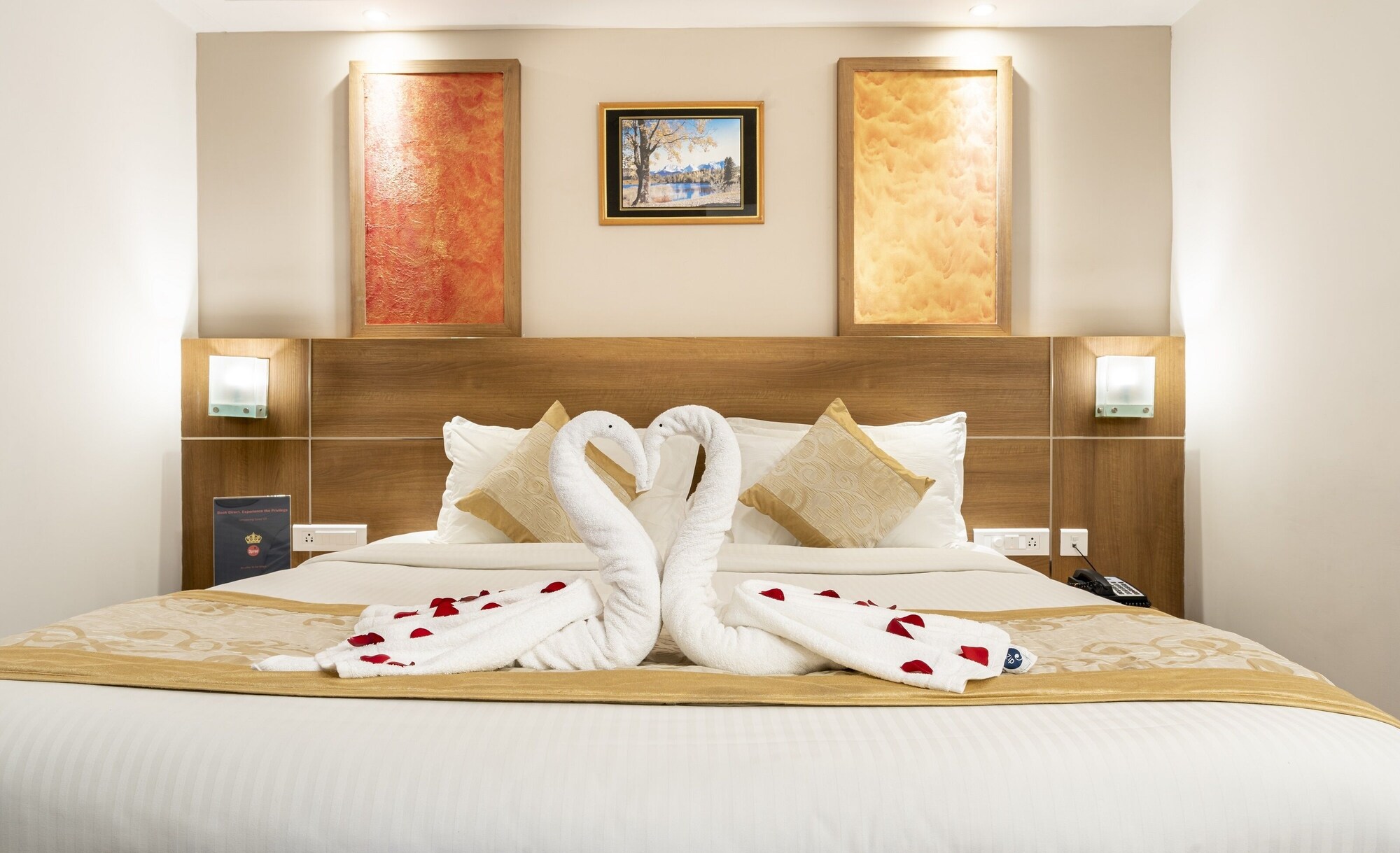 zip by spree hotels mangala international