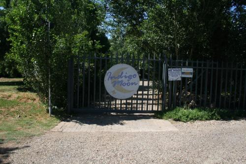 indigo moon guesthouse