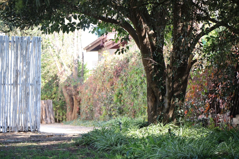 indigo moon guesthouse