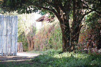 indigo moon guesthouse