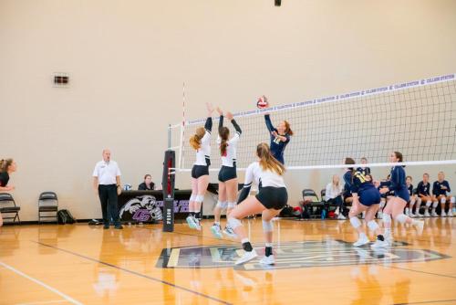 holiday inn express and suites college station by ihg