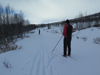 dovre