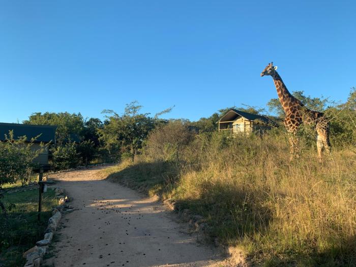 ndhula luxury tented lodge
