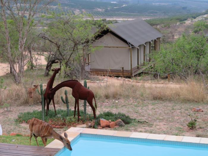 ndhula luxury tented lodge