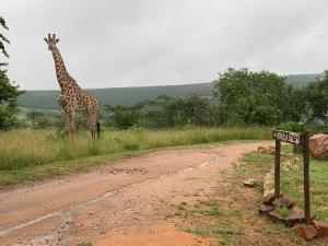 ndhula luxury tented lodge