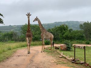 ndhula luxury tented lodge