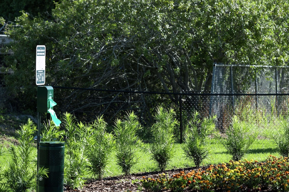 home2 suites by hilton orlando airport