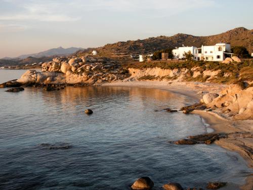 mikri vigla