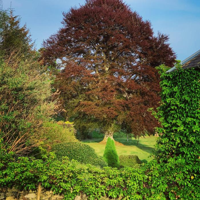 the old manse of blair