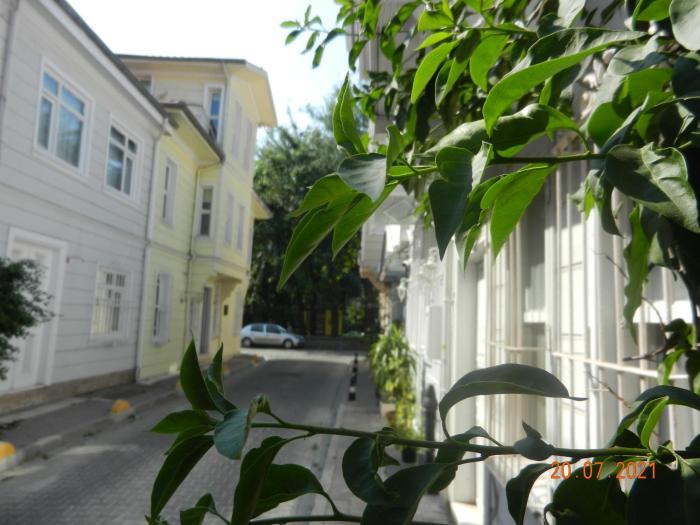 royal suites sultanahmet