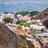 mantis st helena