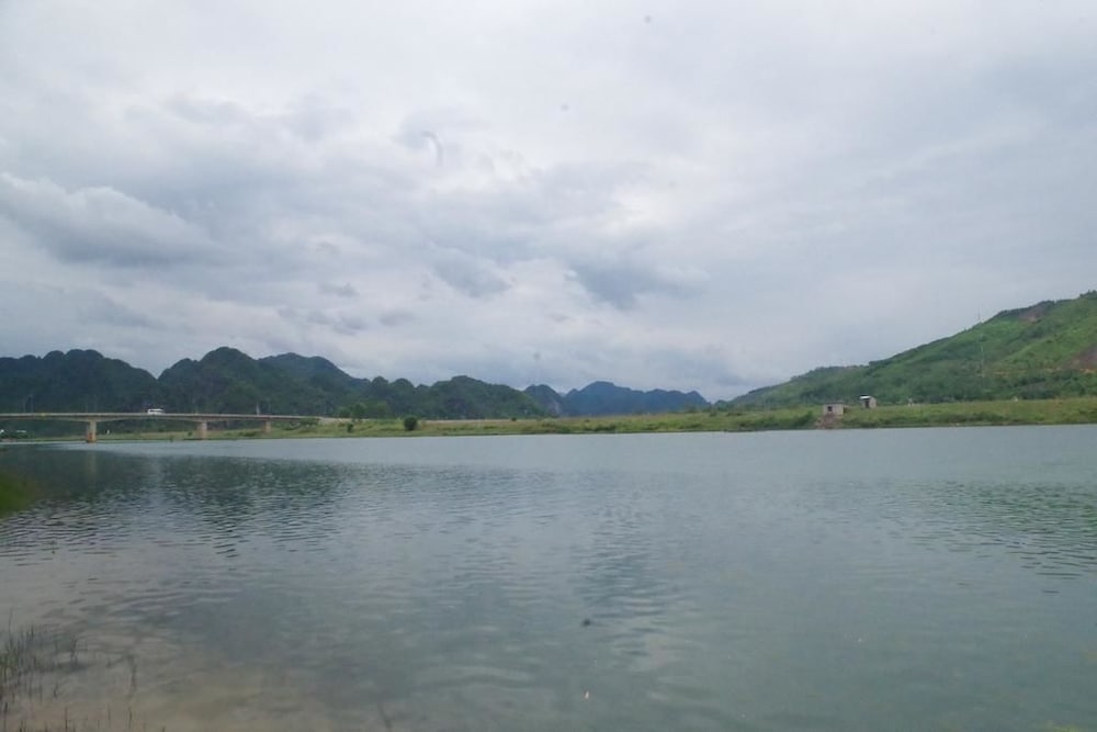 phong nha