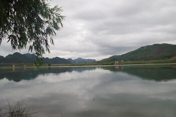 phong nha