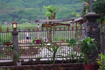 phong nha