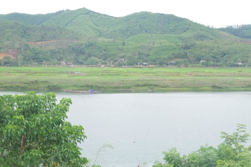 phong nha