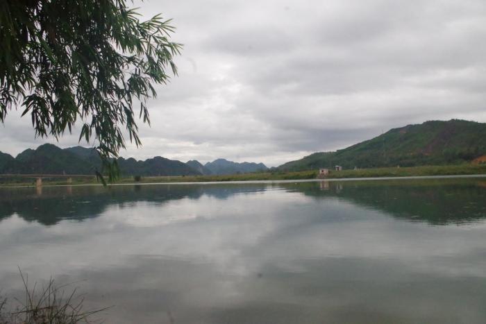 phong nha