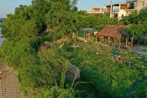 phong nha