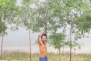 phong nha
