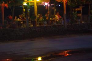 phong nha