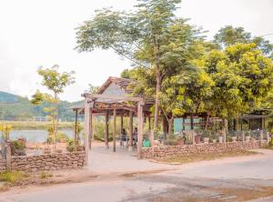 phong nha