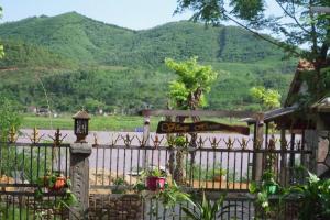 phong nha