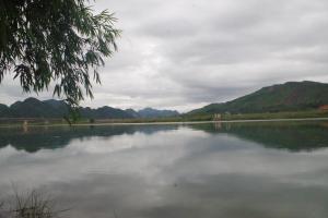 phong nha
