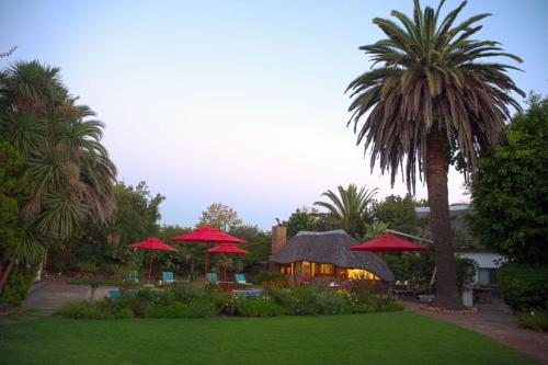 cape town